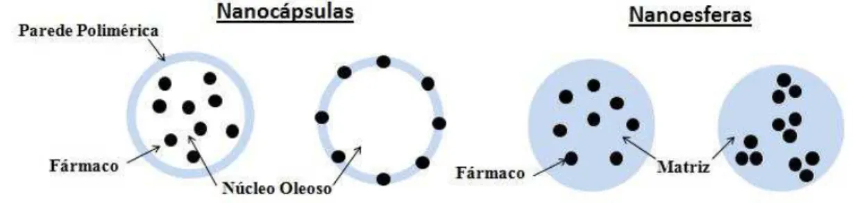 Figura 4. Representação esquemática de nanocápsulas e nanoesferas. 