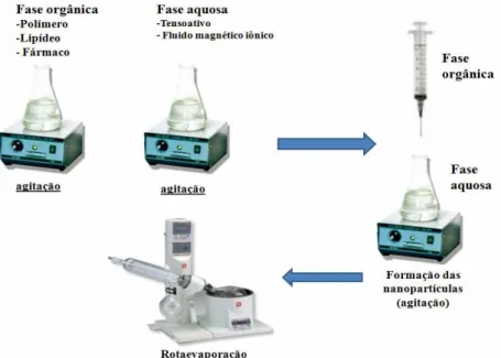 Figura 10. Preparação das nanopartículas de Selol + Fluido magnético iônico. 