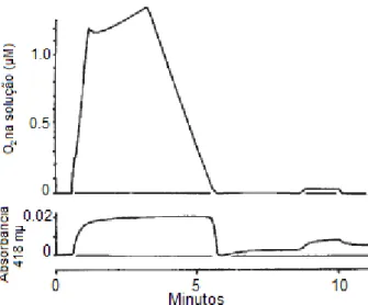 Figura  7.  Medida  simultânea  da  concentração  do  oxigênio  (cima)  e  a  absorção  da  luz  em  418  µm  (baixo)
