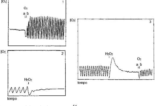 Figura 8. Biestabilidade O+S na reação de oxidase-peroxidase. No primeiro quadro  é  possível  observar  a  mudança  entre  um  estado  estacionário  para  uma  dinâmica  oscilatória  enquanto  que  o  segundo  quadro  apresenta  o  fenômeno  inverso