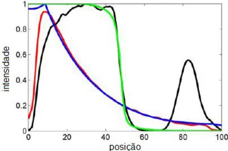 Figura 12. Ajuste do modelo auto-regulatório da hunchback ao perfil de distribuição  como  na  figura  11(C),  as  linhas  pretas  e  vermelhas  representam  os  dados  experimentais, para a hunchback e bicoid, respectivamente