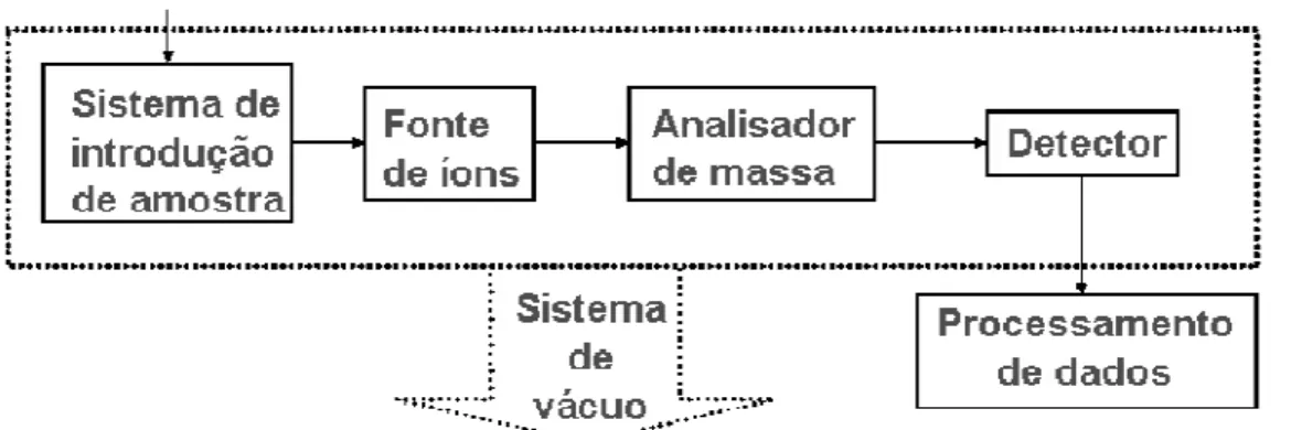 FIGURA 5 - Esquema geral de um espectrômetro de massas. 