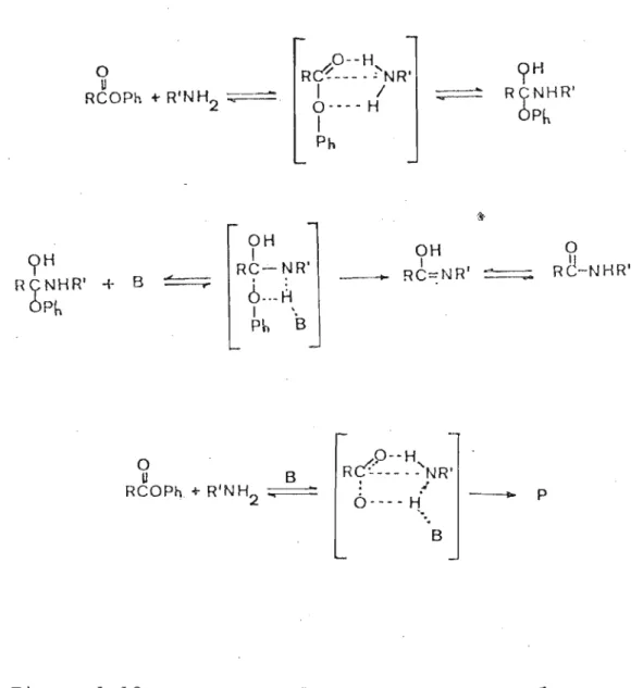 Figura 1.13 - Propostas do mecanismo de aminólise SHAWALI e BIECHLER (1967).