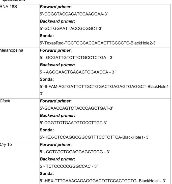 Tabela VI. Sequências dos primers e sondas utilizados nos ensaios de PCR  quantitativo 