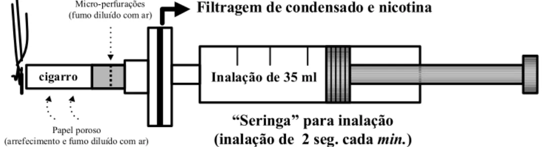 Figura 2. Máquina de fumar. 