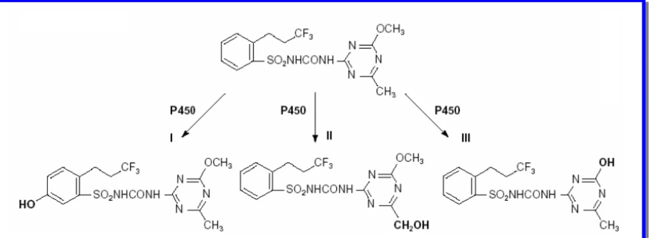 Figura 5: Reação não específica do citocromo P-450 em uma molécula do  herbicida (Prosulfuron)  [Didierjean (2000)]