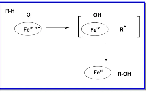 Figura 10: Mecanismo “Oxigen rebound”  para a hidroxilação de alcanos através  da abstração de hidrogênio catalisada por ferroporfirinas [Groves (1984)]