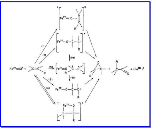 Figura 11: Diferentes possibilidades na reação de uma oxo-metaloporfirina de alta  valência com uma olefina
