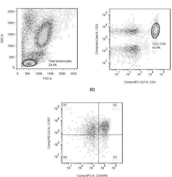 Figure 3.  Representative characterization  of T cell subsets by flow cytometry. T lymphocyte  subsets  were  defined  as  described  in  Materials  and  Methods