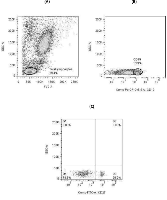 Figure  4.  Representative  characterization  of  B  cell  subsets  by  flow  cytometry