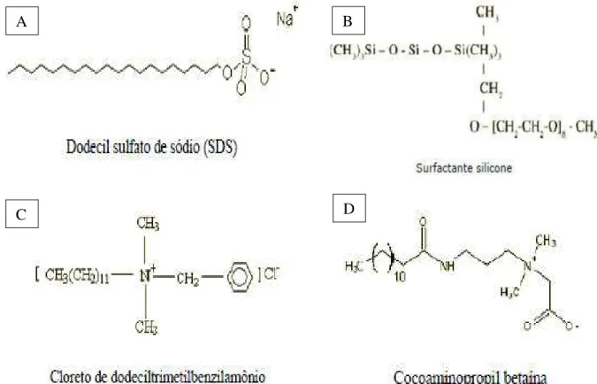 Figura 3.3 - Representação de surfactante: (A) aniônico, (B) não-iônico, (C) catiônico e (D)  anfotérico 