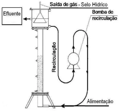Figura 4.1 - Representação esquemática do reator EGSB 