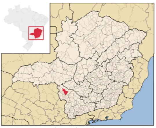 Figura 1 - Mapa da região de Passos, MG, 2006 