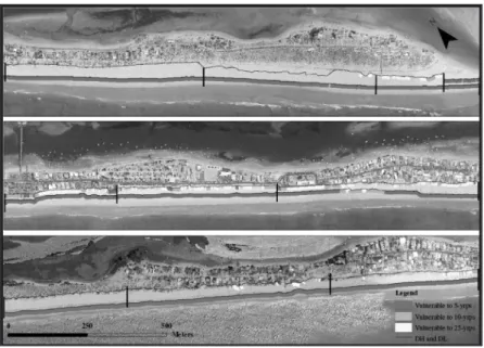 Figure 5. Representation of collision and overwash regimes vulnerabi- vulnerabi-lity along Ancão Peninsula for 5, 10 and 25 year return period storms