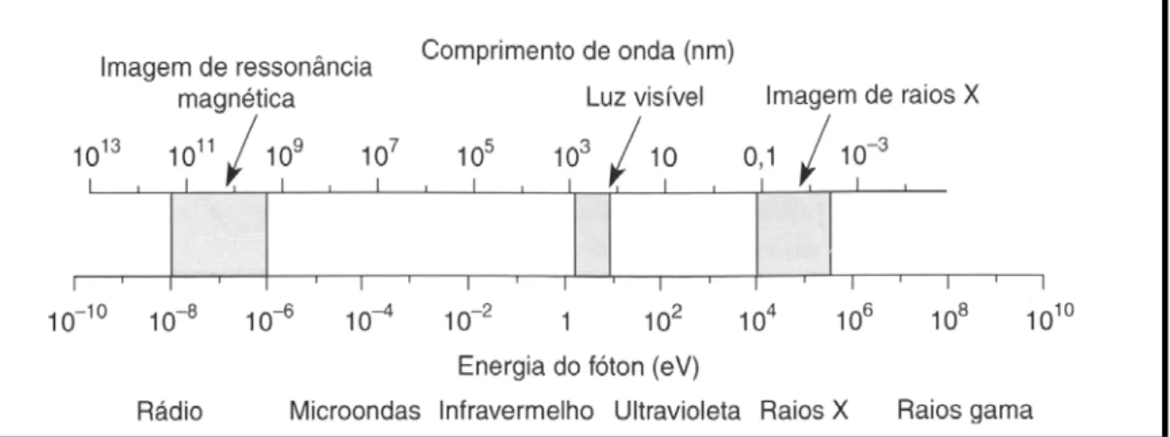 Figura 2.4 - Comprimento de onda do espectro eletromagnético. Fonte: White e Pharoah (2004) 