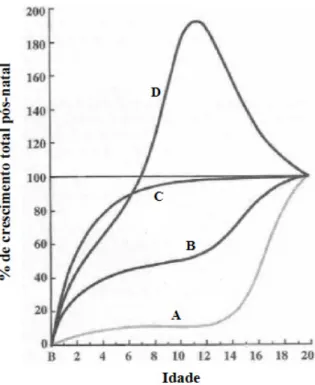 Gráfico 1 – Curvas de crescimento dos sistemas de órgãos em razão da idade  Legenda: 