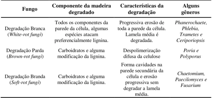 Tabela 1. Classificação da degradação da madeira por fungos. 