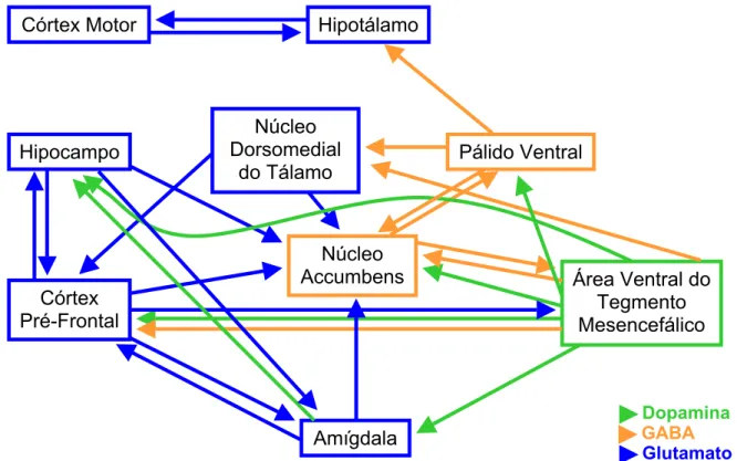 Figura 2. Resumo esquemático da organização existente entre as estruturas do sistema  mesolímbico/mesocortical e sistema motor