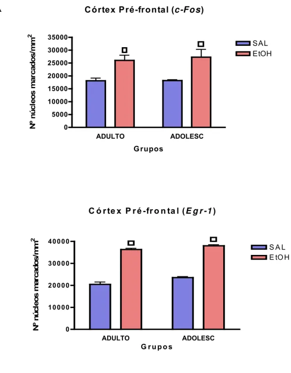 Figura 7. Efeitos do tratamento agudo de etanol 2g/kg (EtOH) ou solução controle (SAL) sobre as  expressões das proteínas c-Fos (A) e Egr-1 (B) no CPF de camundongos adultos (ADULTO) (n =  5/grupo) ou adolescentes (ADOLESC) (n = 5/grupo)