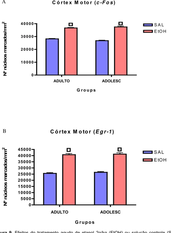Figura 9. Efeitos do tratamento agudo de etanol 2g/kg (EtOH) ou solução controle (SAL) sobre as  expressões das proteínas c-Fos (A) e Egr-1 (B) no CoM de camundongos adultos (ADULTO) (n =  5/grupo) ou adolescentes (ADOLESC) (n = 5/grupo)