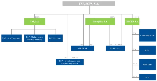 Figure 5 – TAP Group Structure  