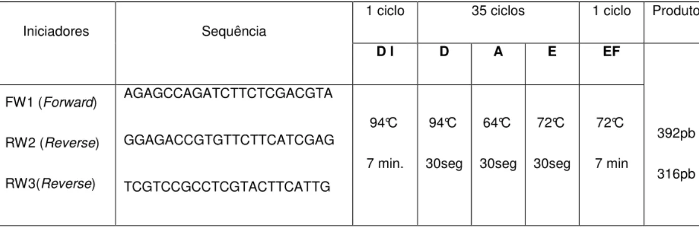 Tabela 6: Sequência de iniciadores e condições aplicadas ao ensaio 3 da padronização  do ensaio de PCR multiplex 