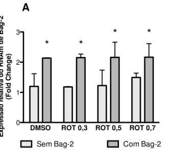 Figura  14.  (A)  Expressão  do  RNAm  da  Bag-2  em  cultura  de  células  do  hipocampo de ratos Lewis neonatos expostas à superexpressão de Bag-2, a  DMSO  ou  rotenona  nas  concentrações  de  0,3nM,  0,5nM  e  0,7nM