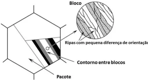 Figura  3.  Ilustração  esquemática  mostrando  as  características  microestruturais  da  martensita em ripas, encontrada em aços com baixo carbono