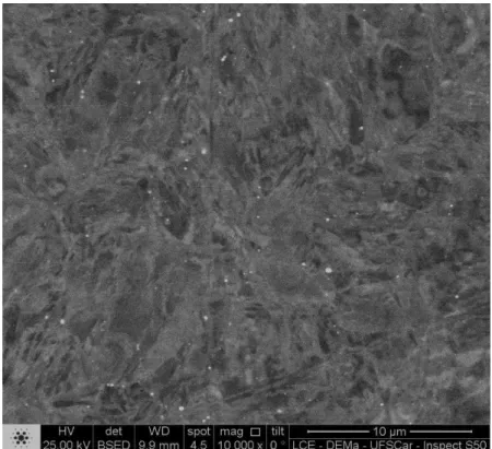 Figura 14. Microestrutura do aço Eurofer-97 (redução de 80%) austenitizado em 1050 o C  por 30 min (MEV)