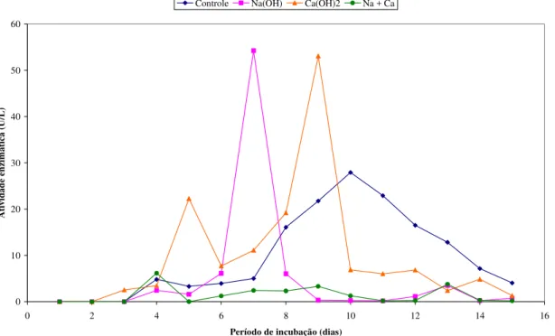 Figura  11  -  Atividade  da  enzima  MnP  (U/L)  produzida  pelo  fungo  A.  niger  inoculado  em  bagaço de cana-de-açúcar submetido a tratamentos com NaOH, Ca(OH) 2 , NaOH  + Ca(OH) 2  e controle (bagaço sem tratamento), no período de 15 dias 