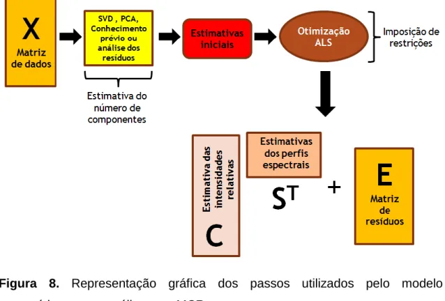 Figura  8.  Representação  gráfica  dos  passos  utilizados  pelo  modelo  matemático para a análise com MCR