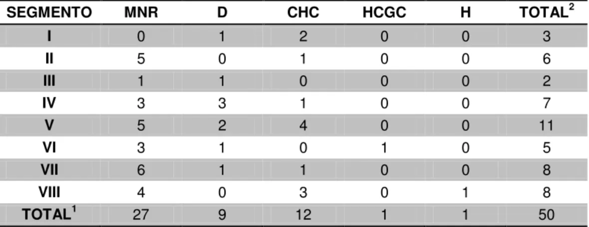 Tabela  3  –   Número  de  nódulos  por  localização  no  segmento  hepático  por  tipo  histológico  SEGMENTO  MNR  D  CHC  HCGC  H  TOTAL 2  I  0  1  2  0  0  3  II  5  0  1  0  0  6  III  1  1  0  0  0  2  IV  3  3  1  0  0  7  V  5  2  4  0  0  11  VI 