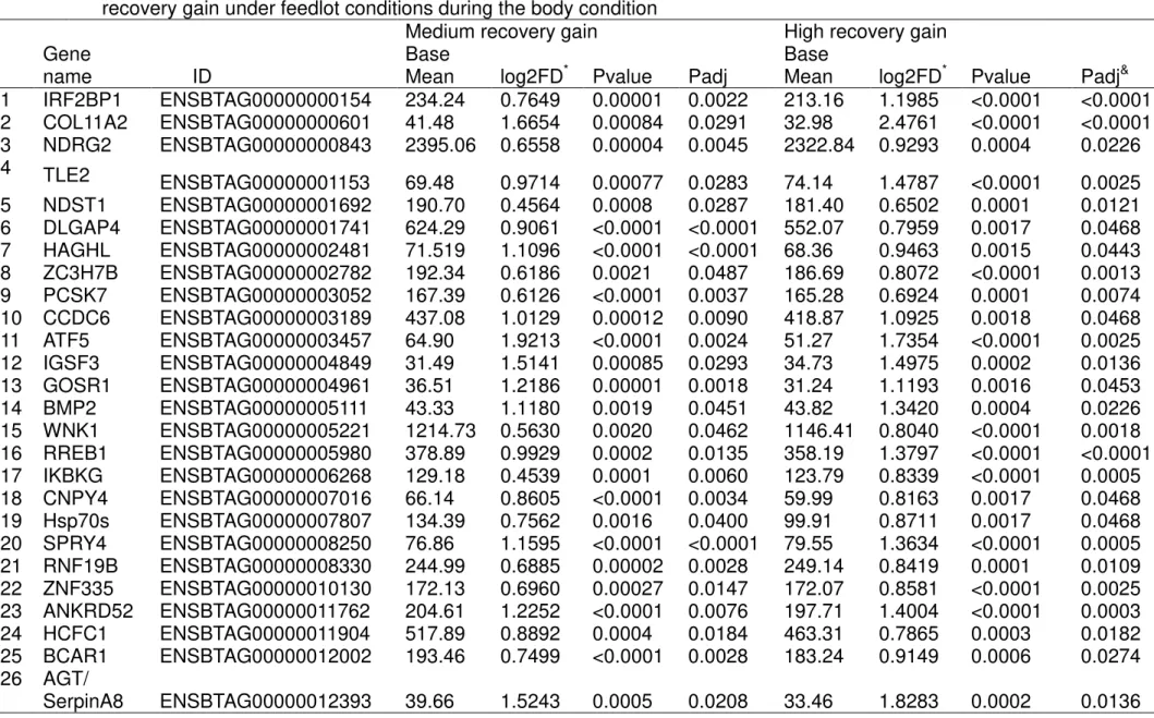 Table  2  –   Differentially  genes  expressed #  in  muscle  from  mature  Bos  taurus  indicus  cull  cows  presented  in  moderate  and  high  recovery gain under feedlot conditions during the body condition 