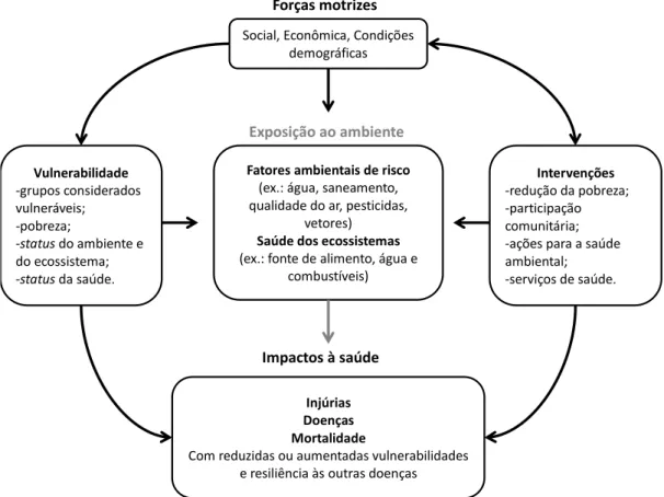 Figura 7: Relações entre o ecossistema e seus impactos à saúde. 