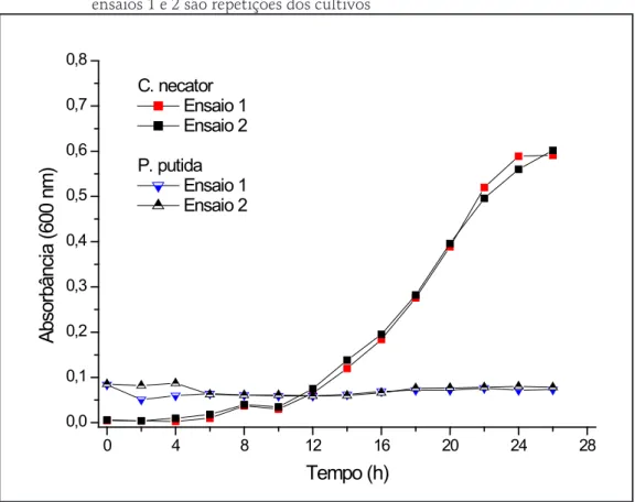 Gráfico 3 – Crescimento celular durante o cultivo de C. necator e  P. putida em meio  mineral, formulado com hidrolisado químico de pectina (2,2 g/L de CR)