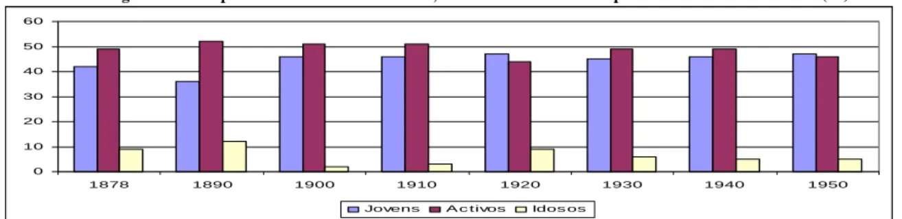 Figura 22 – Grupos Funcionais de São Vicente, nos anos censitários compreendidos entre 1878 e 1950 (%) 