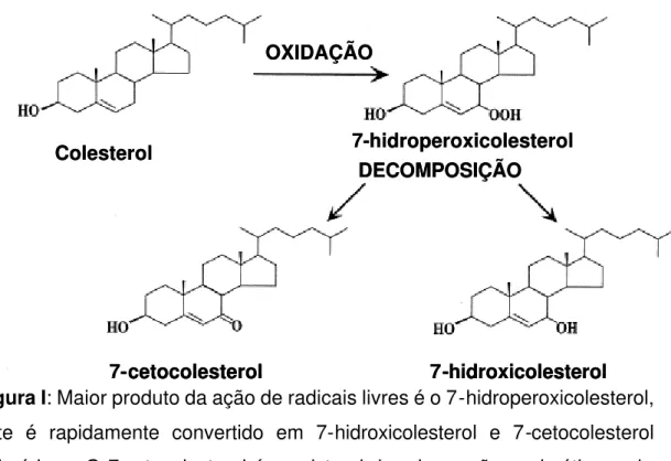 Figura I: Maior produto da ação de radicais livres é o 7-hidroperoxicolesterol,  este é rapidamente convertido em 7-hidroxicolesterol e 7-cetocolesterol  epiméricos