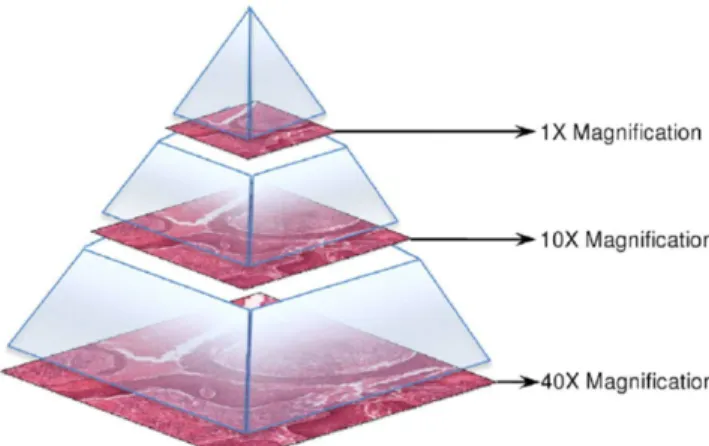 Figura 1.8 Estrutura piramidal em que encontram organizados os dados que compõem uma imagem de uma digitalização de uma     