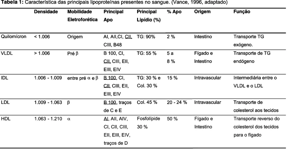 Tabela 1: Característica das principais lipoproteínas presentes no sangue. (Vance, 1996, adaptado) Densidade Mobilidade  Eletroforética  PrincipalApo Principal  Lipídio (%)