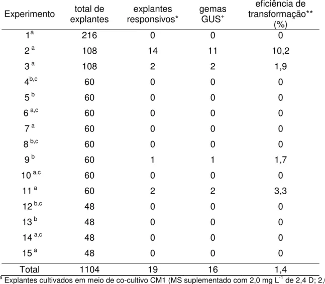 Tabela 3 – Transformação genética de laranja ‘Pêra’ (Citrus sinensis), utilizando segmentos internodais  de tecido adulto Experimento  total de  explantes   explantes  responsivos*  gemas GUS+ eficiência de  transformação**  (%)  1 a 216  0  0  0  2  a 108