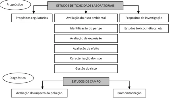 Figura 2. Representação esquemática dos processos constitutivos de um estudo de toxicidade (adaptado  de Jemec et al., 2009) 