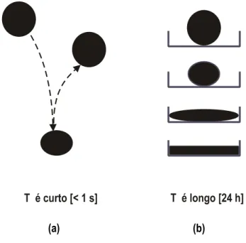 Figura 2.1. Comportamento do mesmo material sob diferentes tempos de ensaio e de observação  (a) elástico e (b) viscoso
