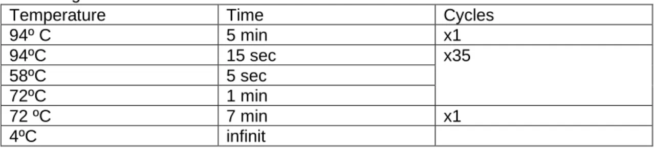 Table 4:BT2 program of PCR technique. 