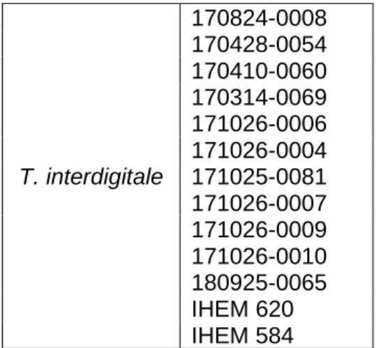 Table 7: Discrimination of species of T. interdigitale  sequenced and analysed by CBS and BLAST  databases