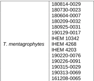 Table 8: Discrimination of species T. mentagrophytes  sequenced and analysed by CBS and BLAST  databases