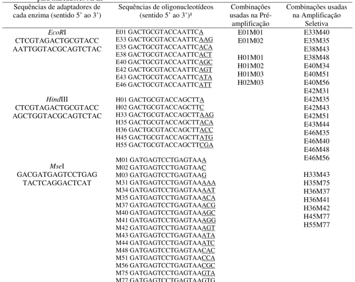 Tabela 4 – Sequências de adaptadores, de oligonucleotídeos e combinações  usadas  na  amplificação de fragmentos  para marcadores AFLP 