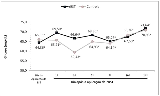 Gráfico 7 –  Influência da aplicação de somatotropina recombinante bovina (rBST), na concentração  plasmática de glicose de bubalinos da raça Murrah - São Paulo - 2008 