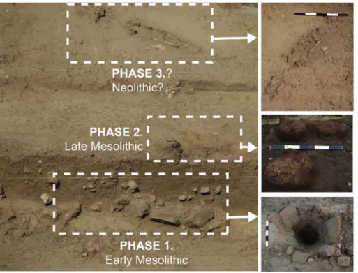 Fig. 7. Stratigraphic section of Cova da Baleia (West) with remains.