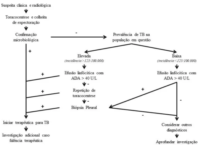 FIGURA 1 –  Proposta de algoritmo para marcha diagnóstica em caso suspeito de  tuberculose pleural