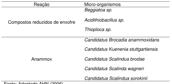 Tabela 6 - Principais micro-organismos responsáveis por desnitrificação autotrófica 